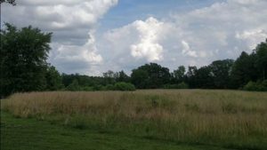 Our New Land