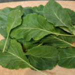 Whole Hydroponic Collards On Cutboard