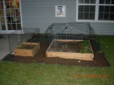 Square Foot Garden