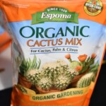 You want a succulent/cactus mix. Espoma Organic Cactus Mix