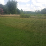 Nice and clear. Boy-child put those nice lines in the grass. Good job!