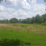 Don't let the picture deceive you. That brush was HIGH!