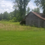 Definitely needed to clear out by the barn. We have plans for it soon!