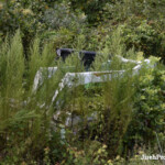 Dwayne Getting Started with the Bobcat