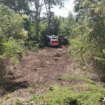 Cleared the driveway to the small ditch