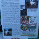 Family run farm. Their jams were really jammin! Browntown Farms info