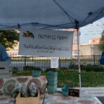 These gentlemen were from Chapel Hill. They farm in hoop houses. Their collards (not shown) were huge...and tasty! faithful farms farmers