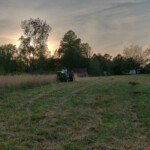 Bush Hogging - Coming along