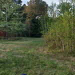 Looking Down The Hill