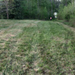 Our daughter walking off the property